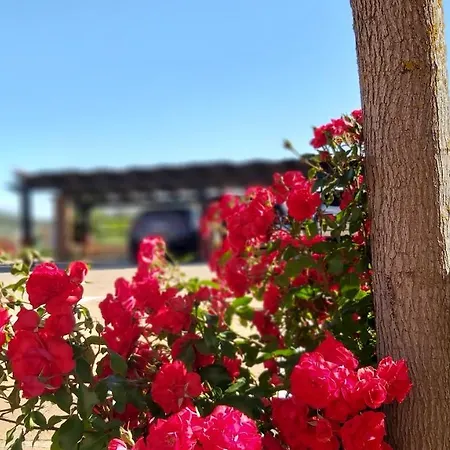 Guest house Hacienda Mendoza 3*