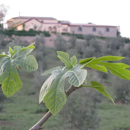 Guest house Hacienda Mendoza