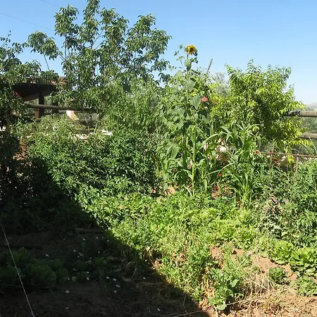 Pensión Hacienda Mendoza 3*